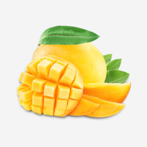 ORANGE baladi-500×500 (10) (13)