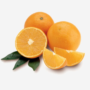 ORANGE baladi-500×500 (10) (7)