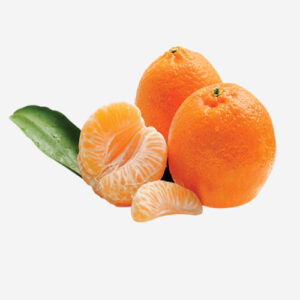 ORANGE baladi-500×500 (10) (8)